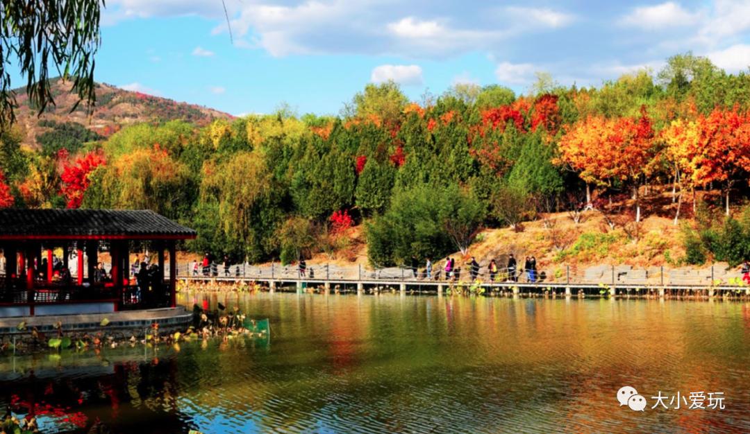 北京红螺寺银杏最佳观赏时间,北京赏银杏景区有哪些