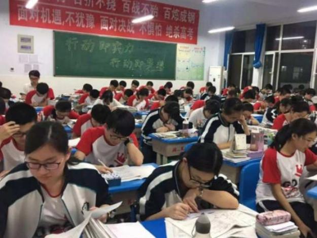 教育督导学校弄虚作假的处理意见,核查学籍与户口不一致