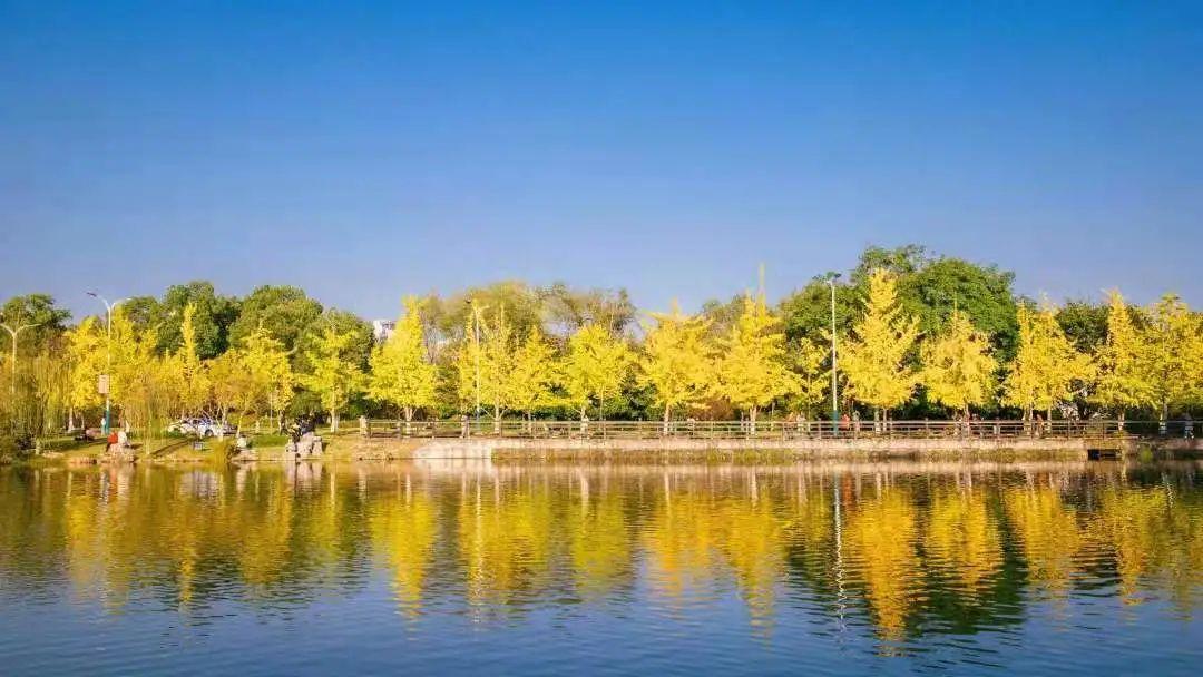 来啦！重庆大学2021年招生宣传片《重新出发，大有可为》重磅上线！