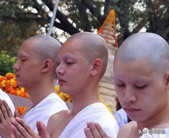 男女之间任意切换？泰国变性人选美冠军突然决定“变回男儿身”！