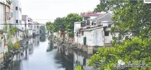 黄圃镇花店,花乡花卉绿植区