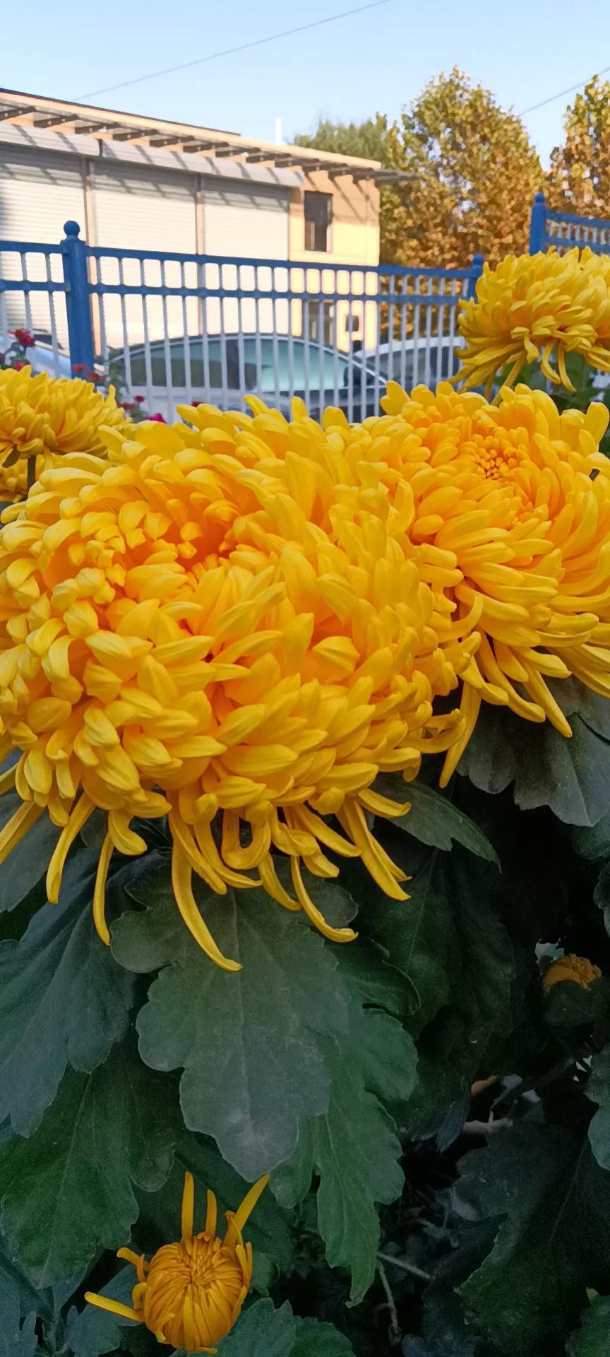 与成语司空见惯意义相同的成语,司空见惯这个成语出自