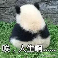 广东人说普通话上热搜,广东人讲普通话的精彩时刻