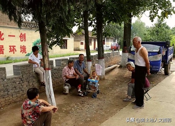 农村老宅一棵大槐树,古村落百年老槐树