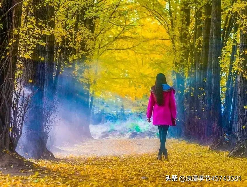 却道天凉好个秋散文800字,天凉好个秋散文500字