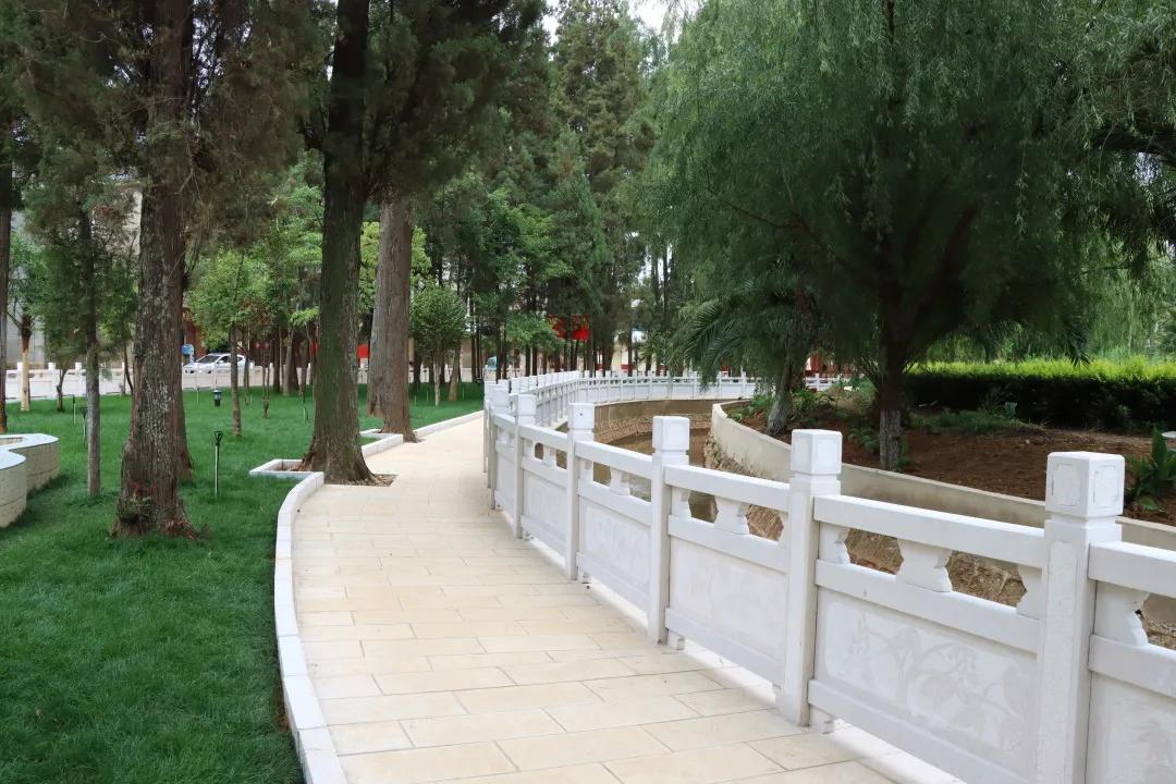 党史学习教育巡回指导组来我校,省委督导组督导检查党史学习教育