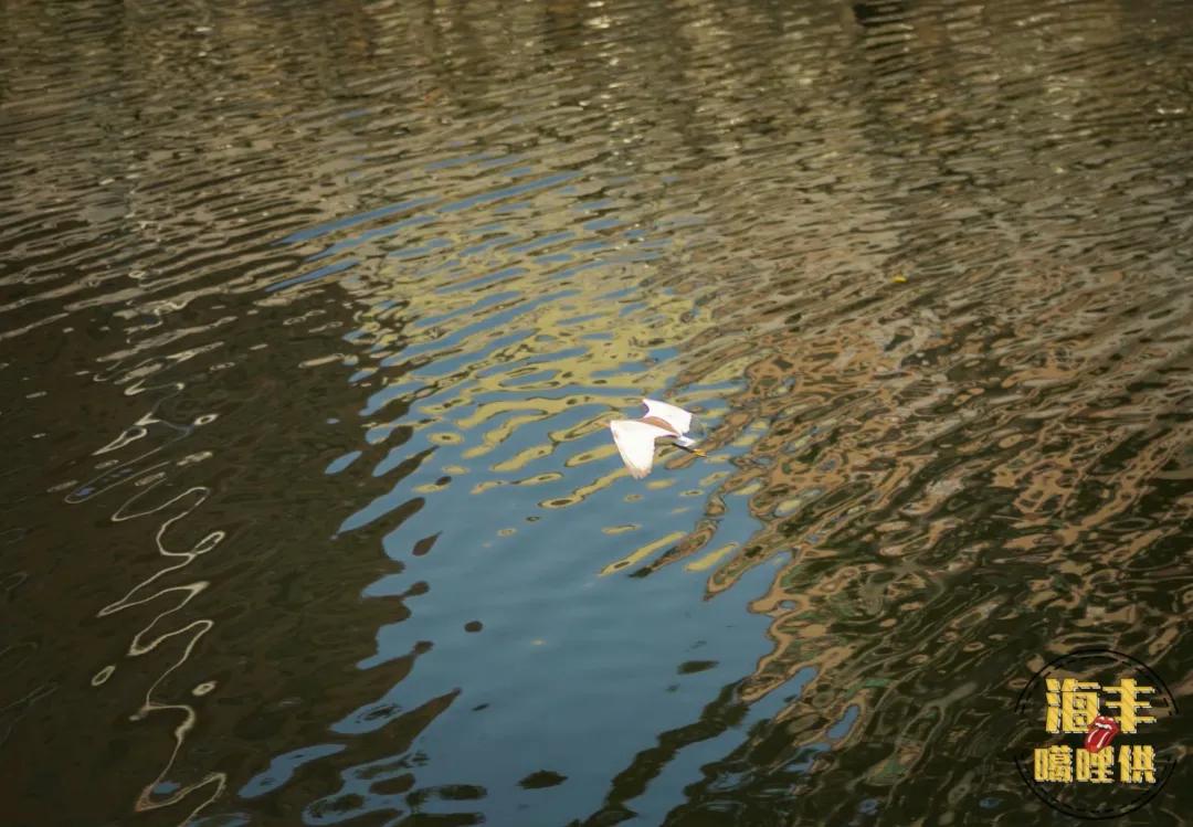 海丰一条母亲河在哪里,一条母亲河