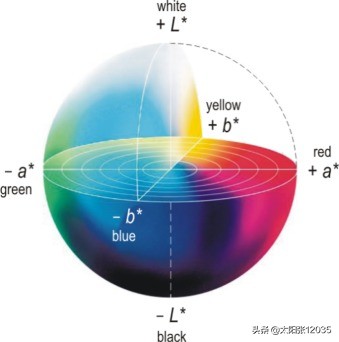 染色涉及毒性和环境影响学习翻译