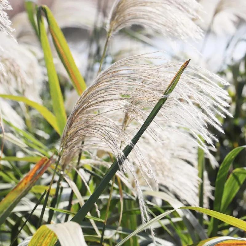 苏州东山西山包吃住农家乐推荐,苏州西山林屋洞附近包吃包住民宿
