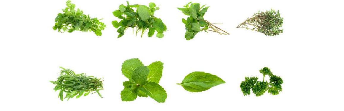 春天美味野菜多，这几种孕妇要忌口！