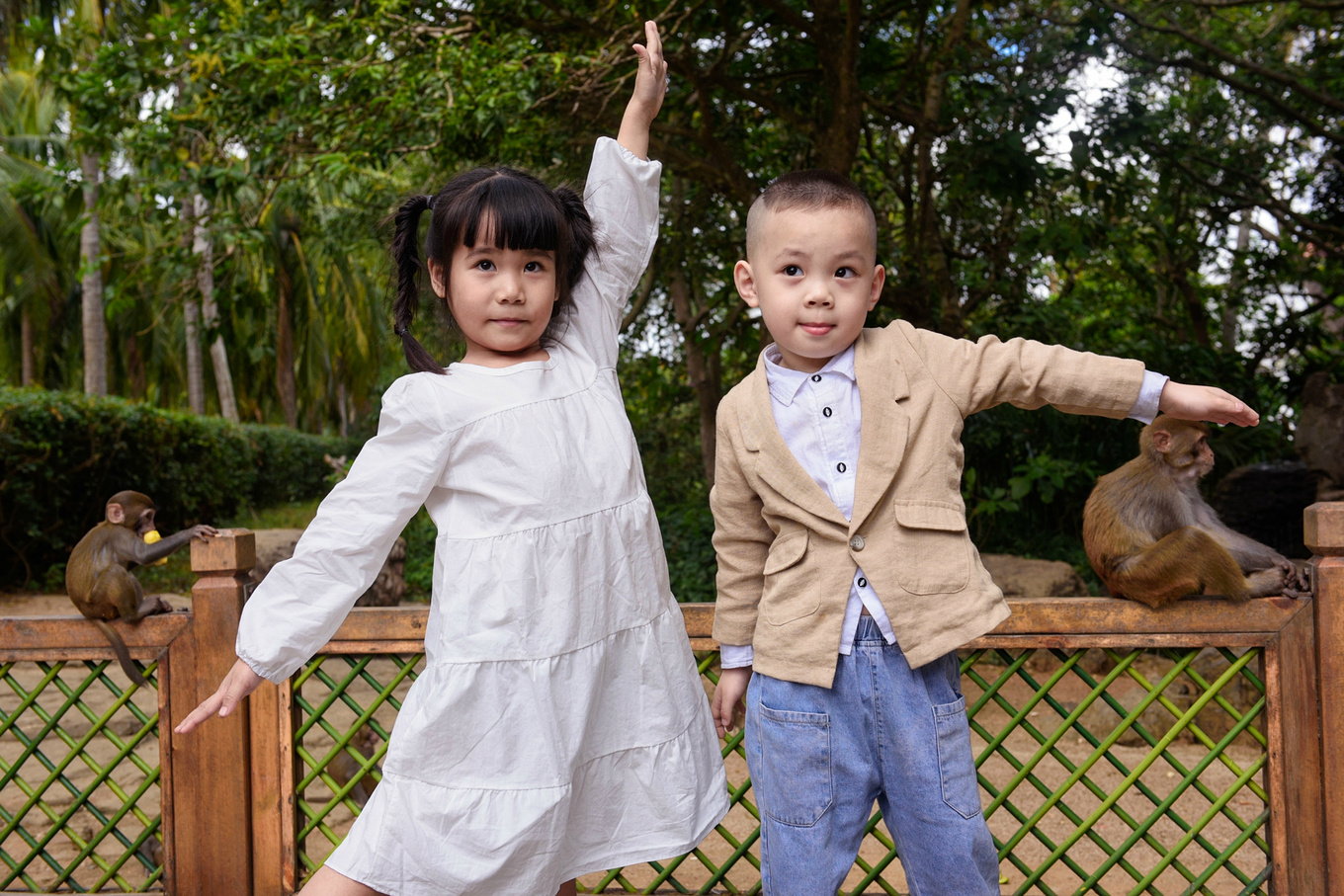 你在南方瑟瑟发抖，我在这里遛娃、看猴、赶海····