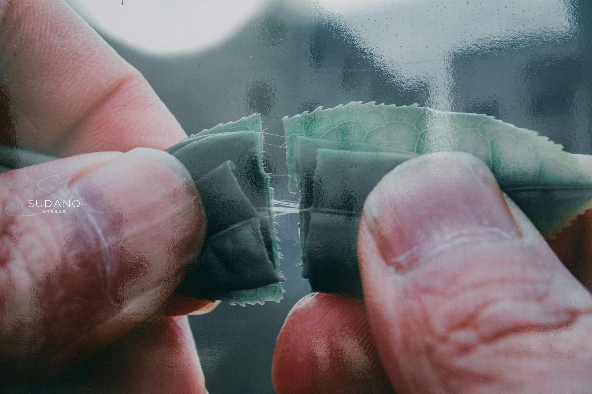 三峡大坝风景如画的地方,美丽壮观的三峡大坝及其周边风景