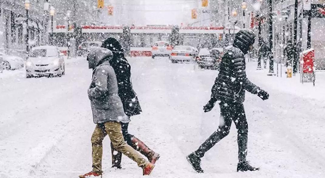 近期的加拿大鹅羽绒服事件,加拿大鹅事件最近进展
