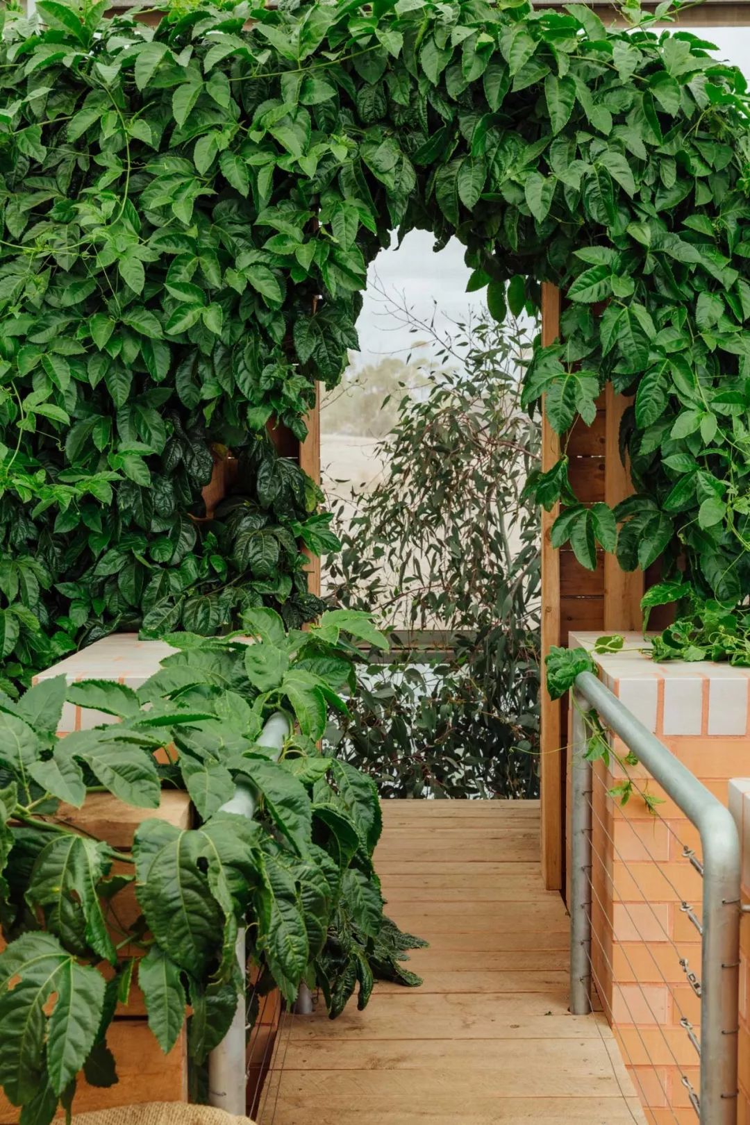 森林屋设计,森林屋建造