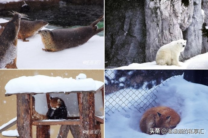 雪国和冰雪,雪国旅游