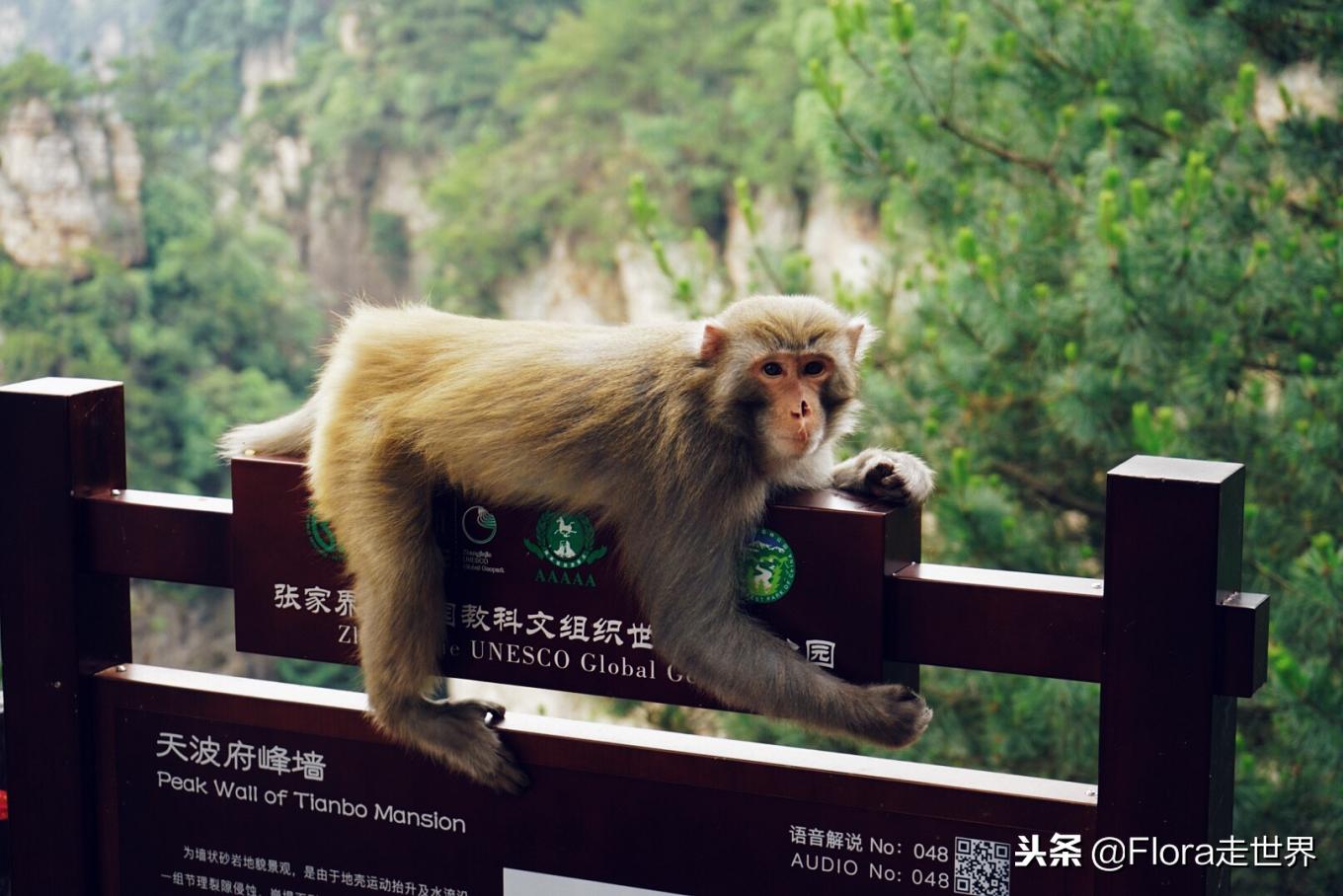 我们的侣行还在拍吗,我们的侣行2019破冰之旅