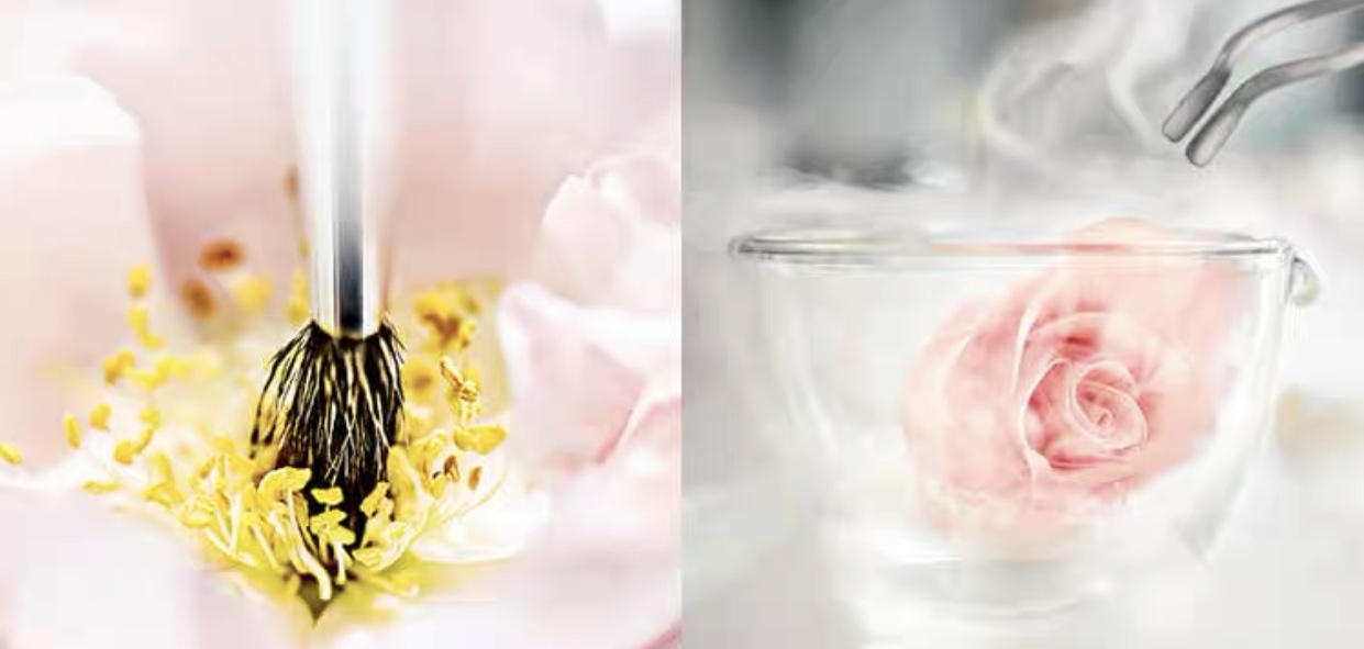 适合干皮痘痘肌的面霜海蓝之谜,海蓝之谜修护精华露适合干皮吗