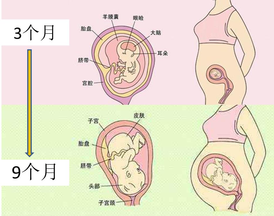 一个抑郁症妈妈进退两难！需要吃药还想要宝宝？☛：贴地气建议