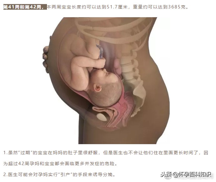 怀孕各个时期胎儿发育过程,怀孕的过程要几天