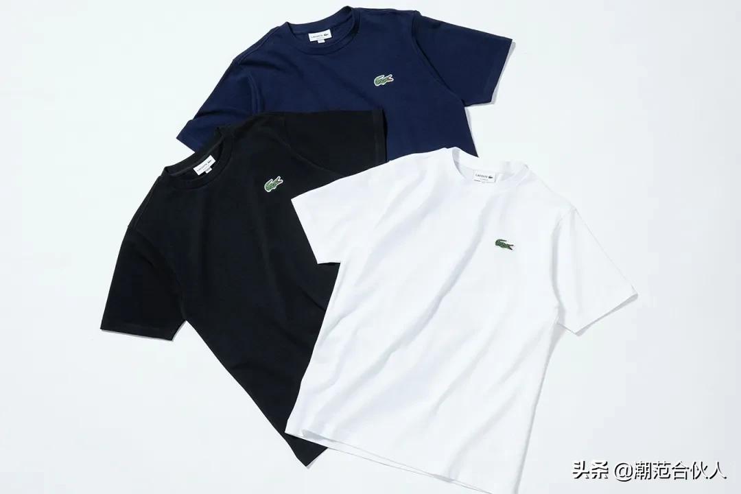 每日资讯下周,每日资讯直播