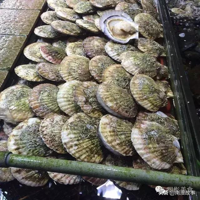 水煮贝壳类海鲜煮多久,海边海鲜用什么水煮好吃