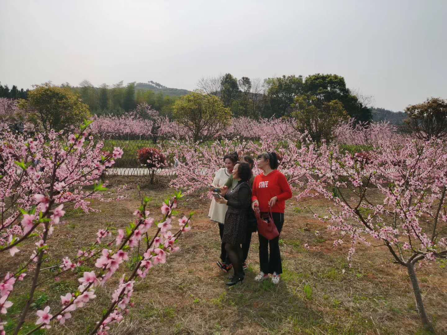 特色产业带动村民就业,产业发展和村民增收致富具体措施