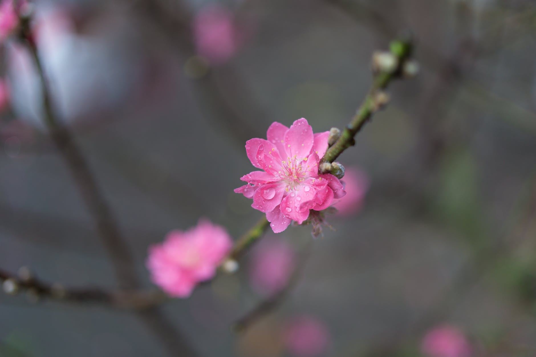 妻子缺乏信任如何沟通,妻子缺乏安全感控制丈夫出轨