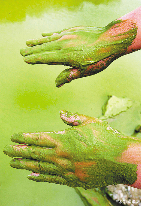 自来水从哪里来最终会流到哪里去,自来水从哪里来到哪里去