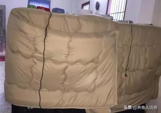 冷天饲养热带鱼电费高的吓人，该怎么办？