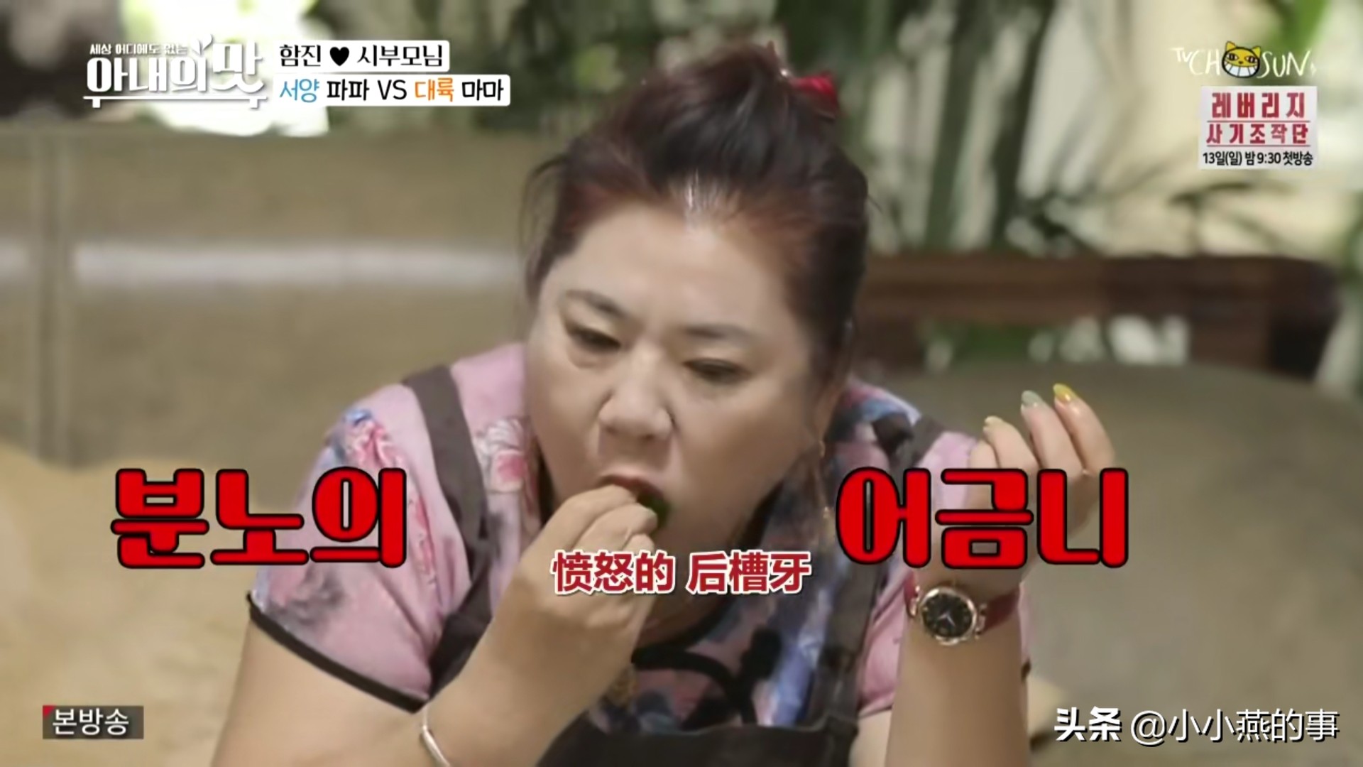 中国婆婆太“虎”了，在韩国节目里是不是应该注意一下形象