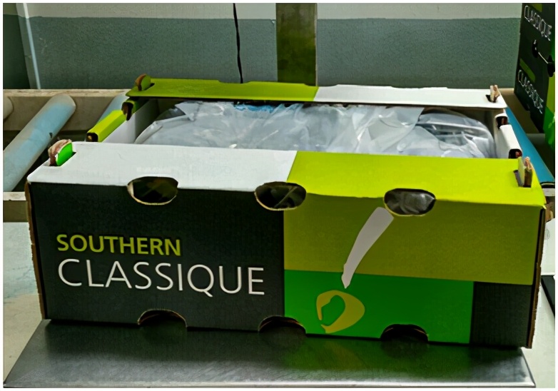 进口提子哪些品种 (进口提子品种及图解)