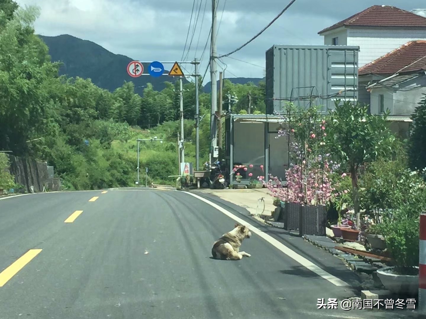 江南天池一镜到底,江南天池旅行视频