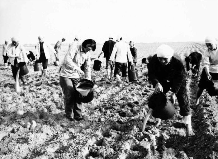 上世纪50年代,给毛主席点烟的女知青,如今怎么样了?