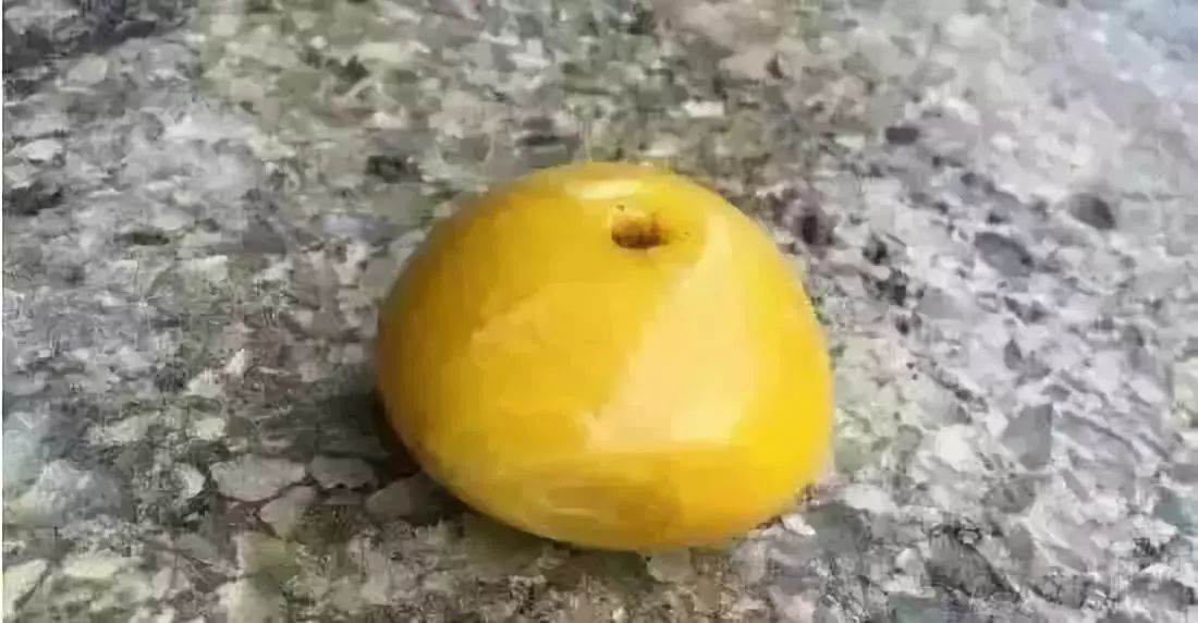 *藏西**捡漏收的大克数老蜜蜡，砸开后为何是个冒牌货儿？