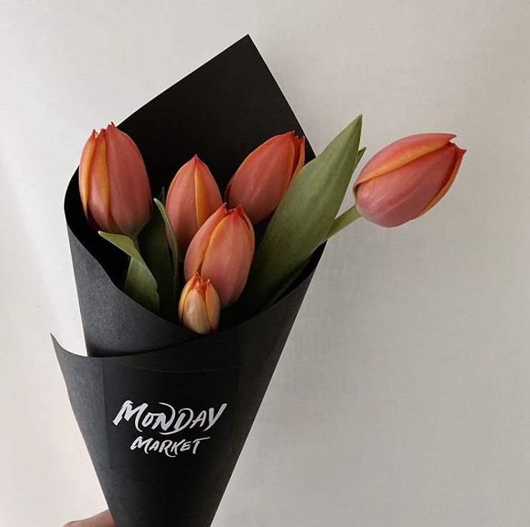 閮侀噾棣欑鐞冪殑鍏绘姢鏂规硶,姘村煿閮侀噾棣欏彂鑺藉悗鍏绘姢