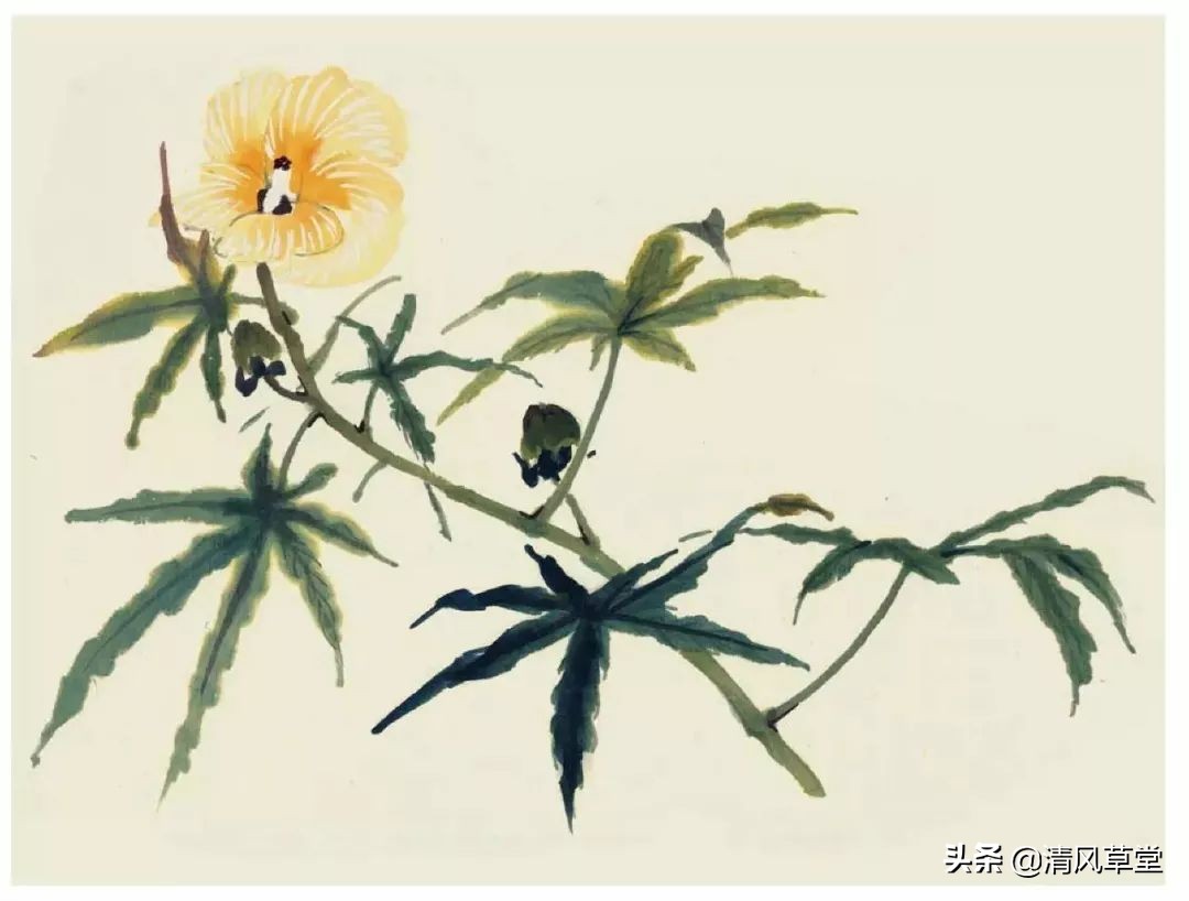 少儿国画花卉画法视频,各种花卉的100种画法
