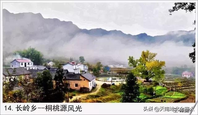 你好我叫王思聪微博截图,你好我叫阿杰