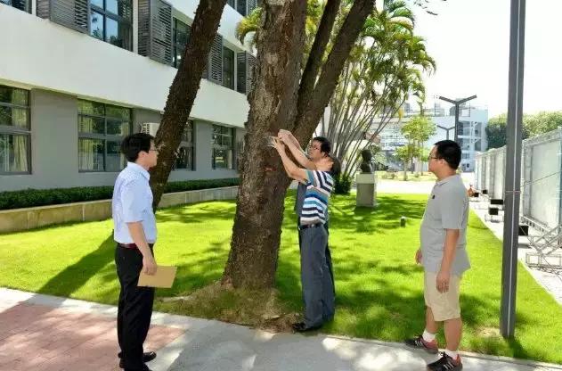 育才中学最后的冲刺,育才中学2019年小升初