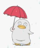 厦门高温会持续多久,厦门24小时桑拿