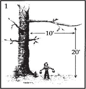 在野外遇到熊该怎么自救,户外遇见熊视频