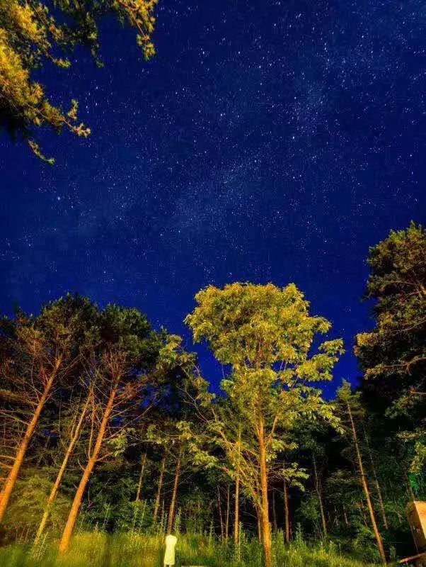 写意云山秀水国画图片,写意山水林间幽境