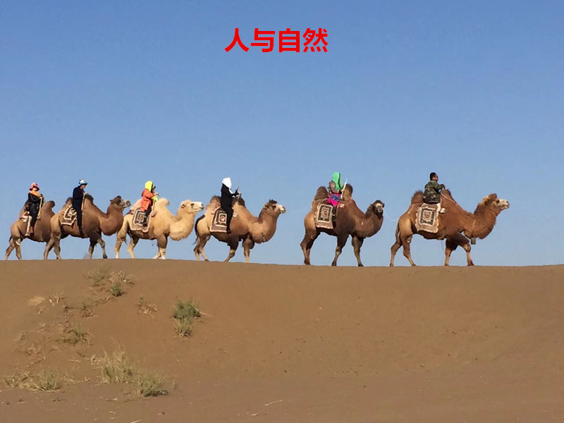 林业礼赞——世界最后一滴水将是人类的眼泪吗