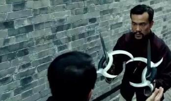 长得像鸭子但是嘴是尖的,长得像鸭子的家禽