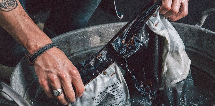 原牛便宜和贵的区别,原牛真的能养出来吗