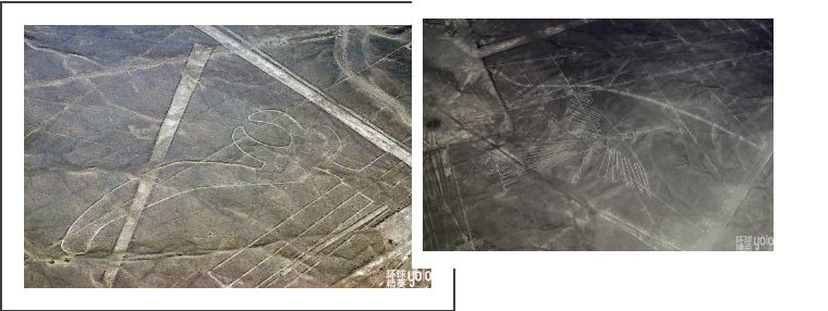 纳斯卡高原巨画之谜,秘鲁纳斯卡巨画解密