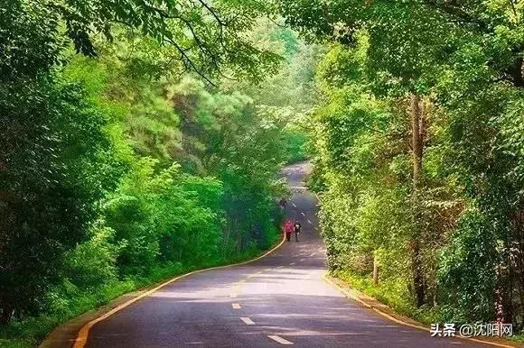 沈阳附近民宿小院,沈阳农村民宿独门独院价格