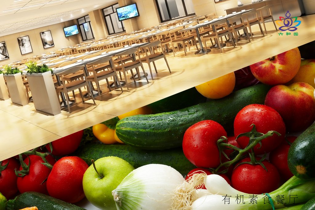 临终关怀让生命有尊严地谢幕,临终关怀让老人有尊严的度过余生