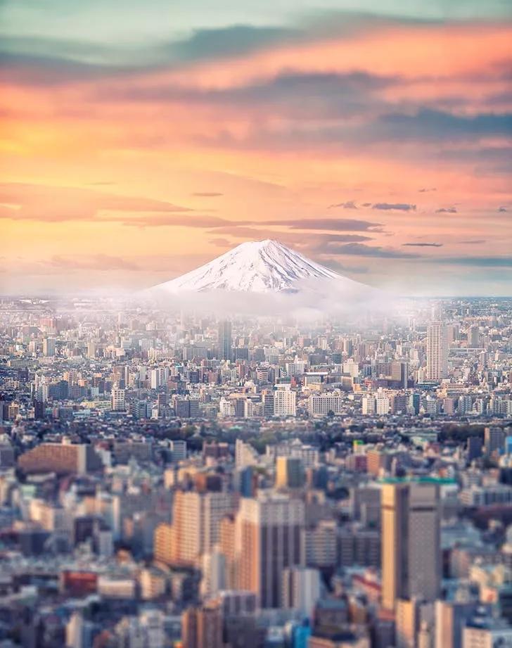 中国至今没被认全的20个邻居，个个身怀宝藏，你知道几个？