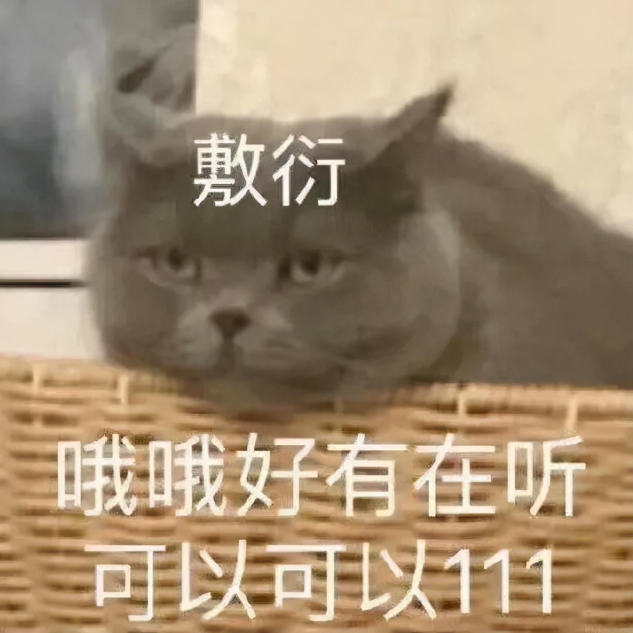 搞笑段子：骑上我心爱的小乌龟