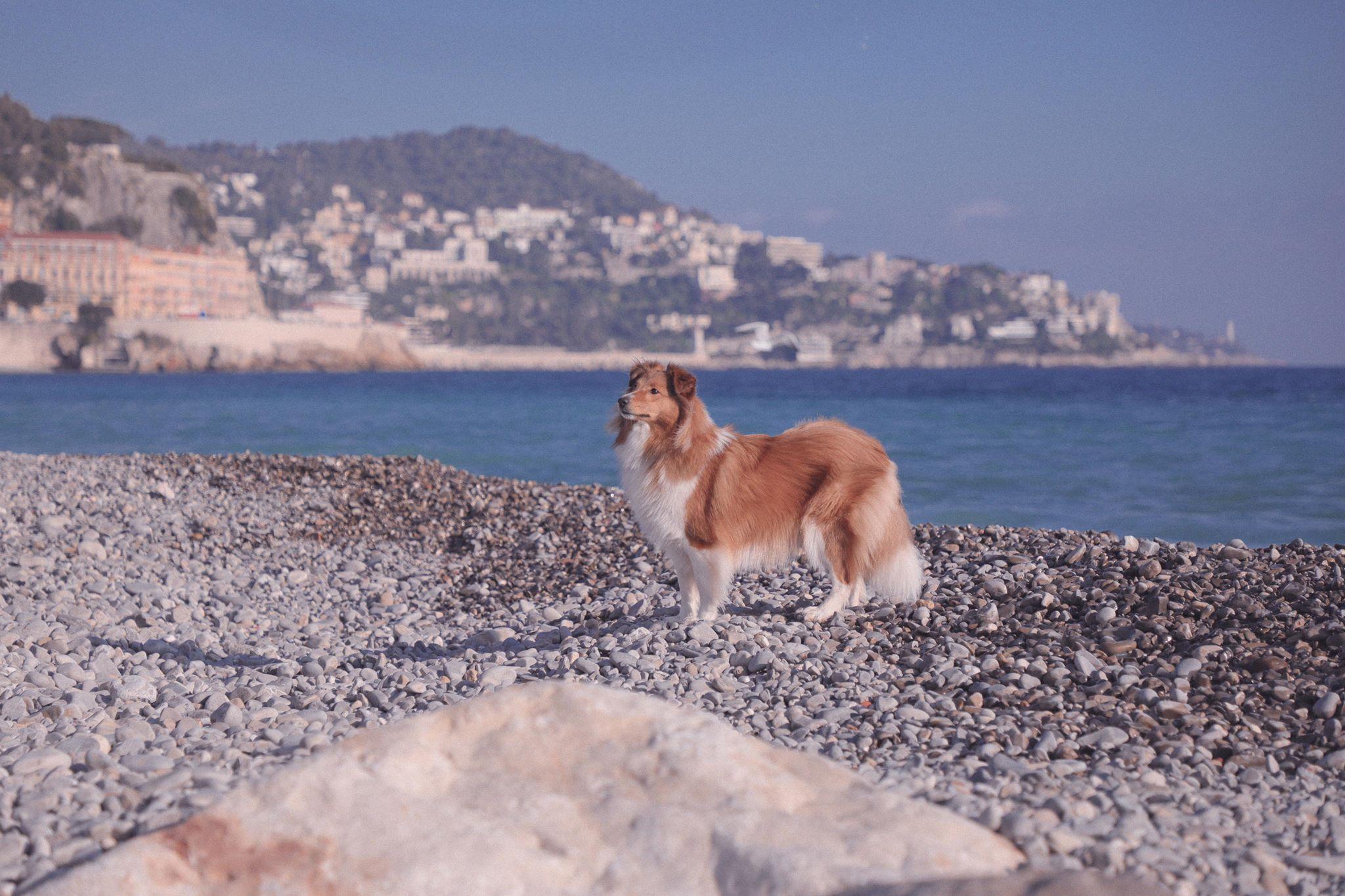 穿着劳保鞋徒步,穿着耐克鞋爬山
